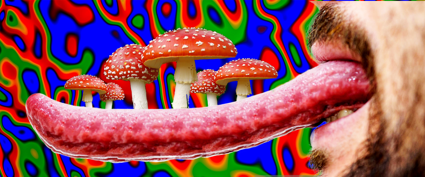 Detail Mario Mushrooms Images Nomer 23