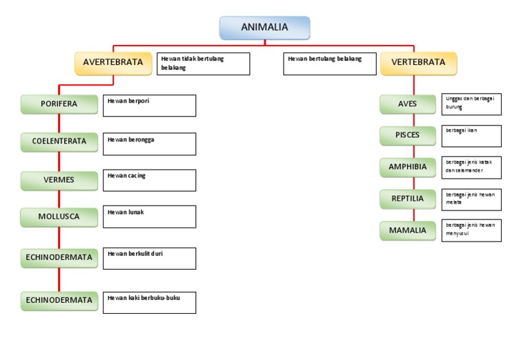Detail Peta Konsep Hewan Vertebrata Nomer 10