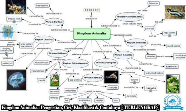 Detail Peta Konsep Hewan Vertebrata Nomer 11
