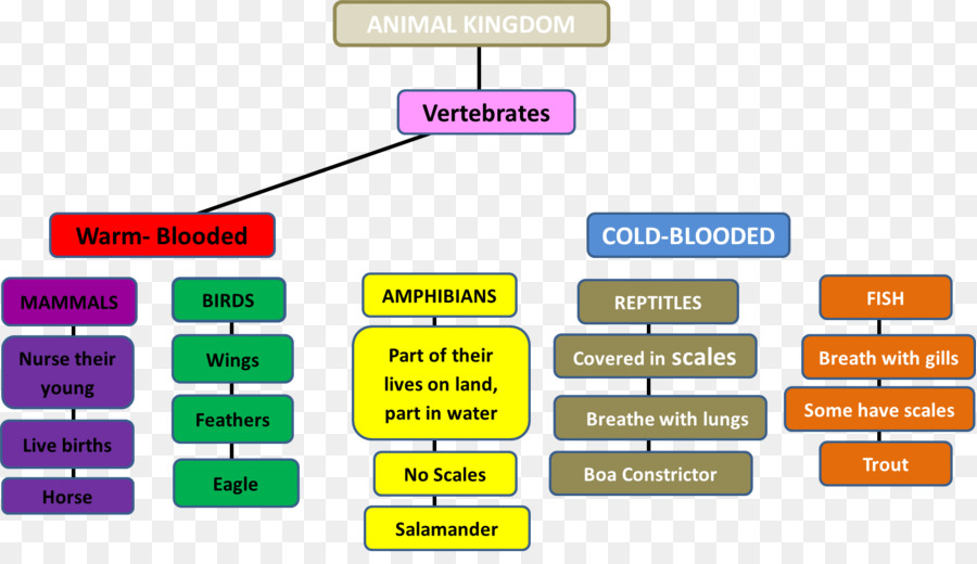 Detail Peta Konsep Hewan Vertebrata Nomer 3