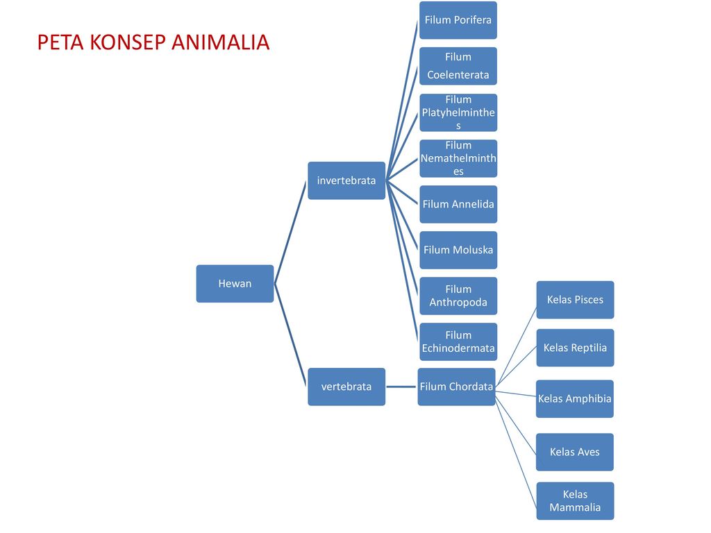 Detail Peta Konsep Hewan Vertebrata Nomer 23