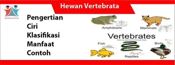 Detail Peta Konsep Hewan Vertebrata Nomer 24