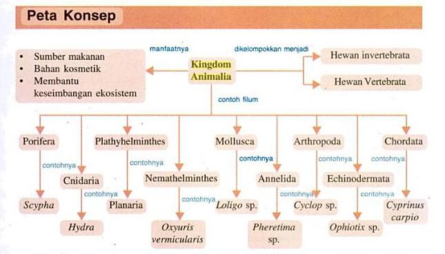 Detail Peta Konsep Hewan Vertebrata Nomer 37