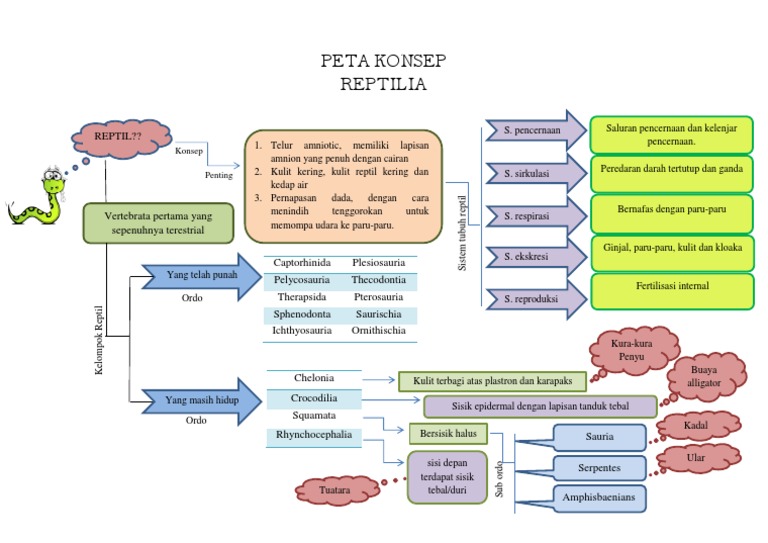 Detail Peta Konsep Hewan Vertebrata Nomer 42