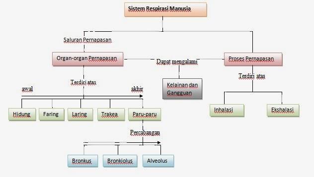 Detail Peta Konsep Hewan Vertebrata Nomer 50