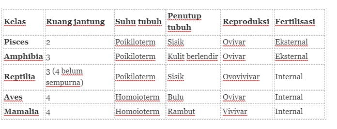 Detail Peta Konsep Hewan Vertebrata Nomer 54