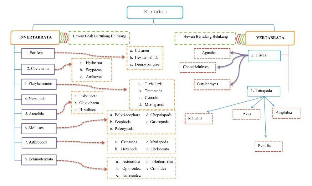 Detail Peta Konsep Hewan Vertebrata Nomer 9