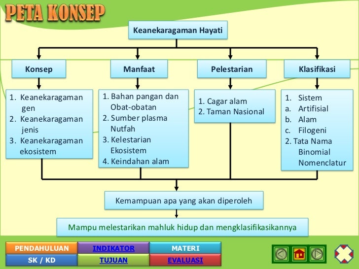 Detail Peta Konsep Keanekaragaman Hayati Nomer 9