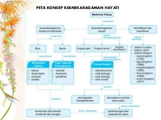 Detail Peta Konsep Keanekaragaman Hayati Nomer 2