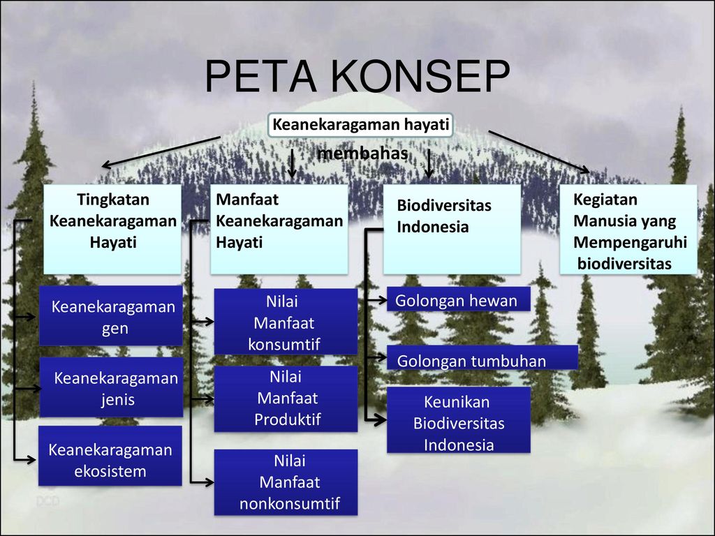 Detail Peta Konsep Keanekaragaman Hayati Nomer 4