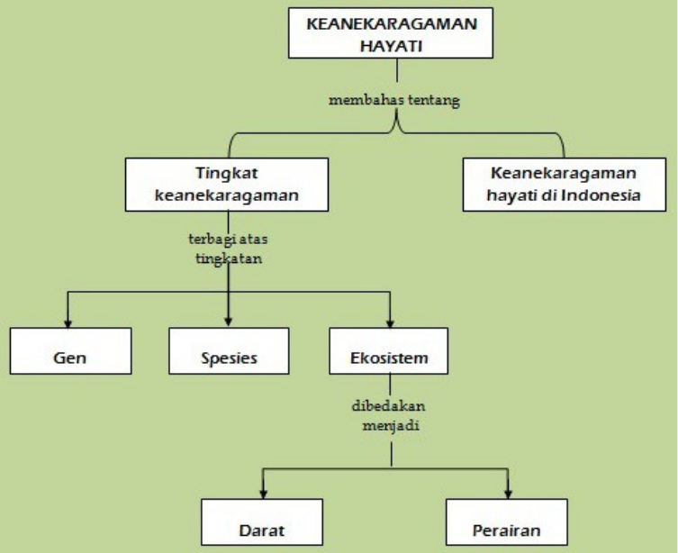 Detail Peta Konsep Keanekaragaman Hayati Nomer 7