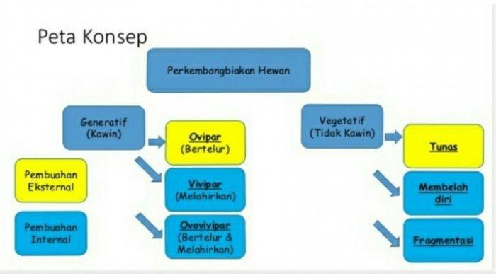 Detail Peta Konsep Kosong Nomer 55