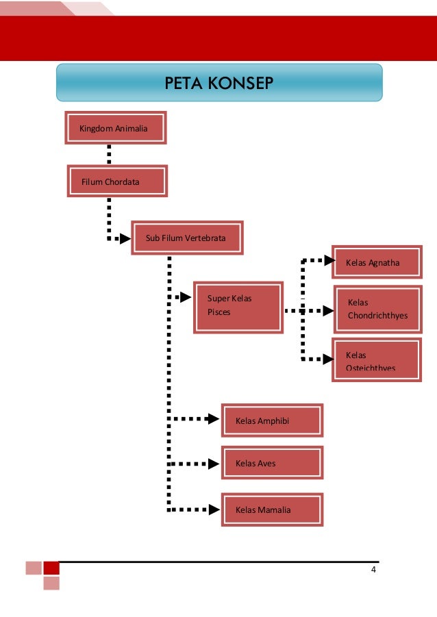 Peta Konsep Vertebrata - KibrisPDR