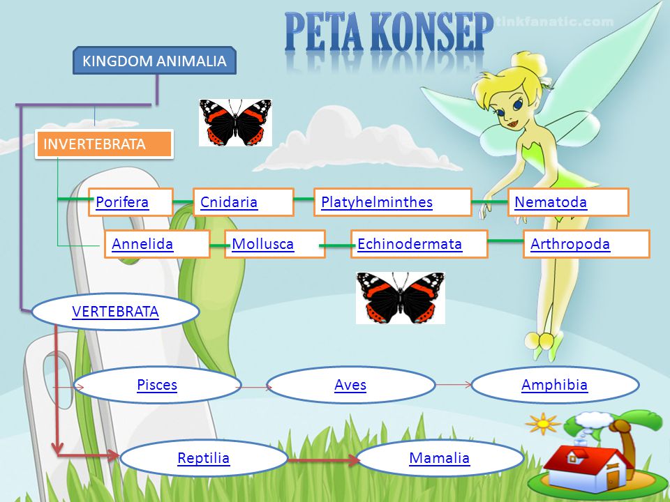 Detail Peta Konsep Vertebrata Nomer 13