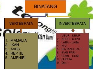 Detail Peta Konsep Vertebrata Nomer 16