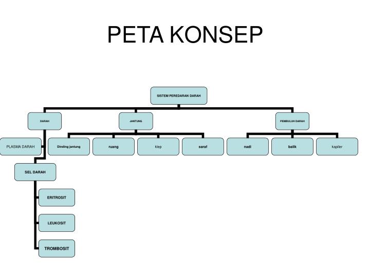 Detail Peta Konsep Vertebrata Nomer 17