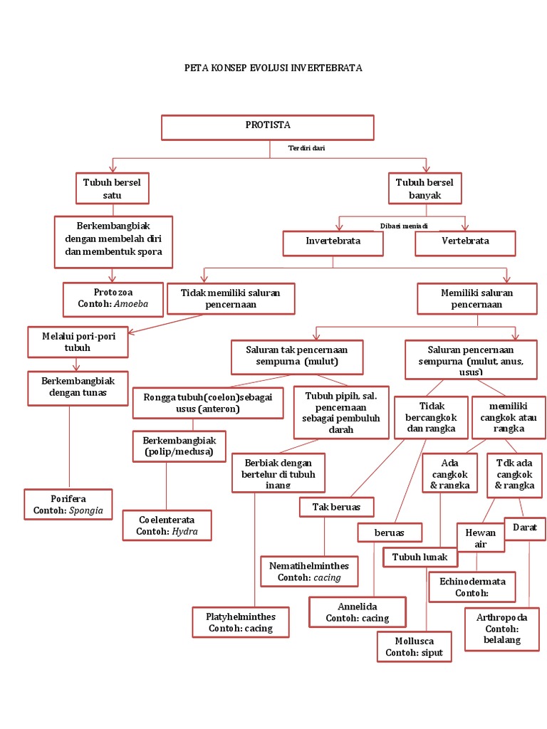 Detail Peta Konsep Vertebrata Nomer 18