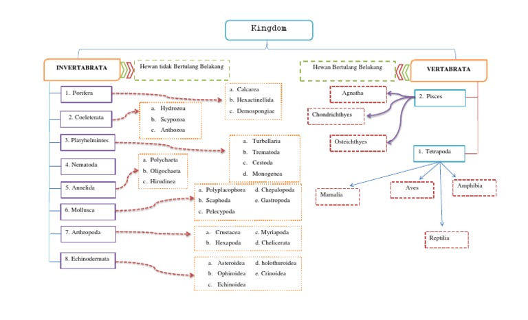 Detail Peta Konsep Vertebrata Nomer 27