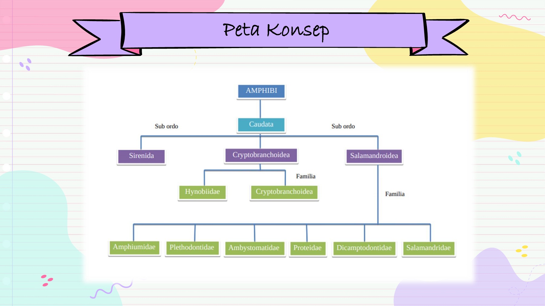 Detail Peta Konsep Vertebrata Nomer 52