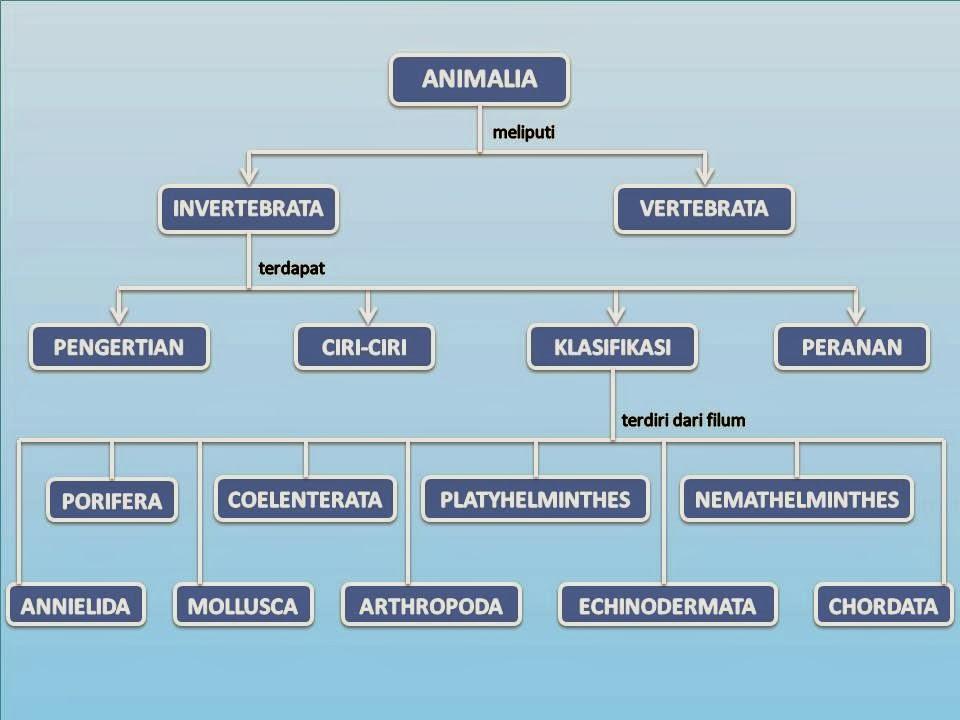 Detail Peta Konsep Vertebrata Nomer 7