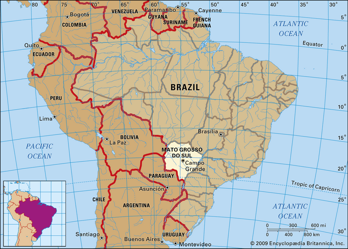 Detail Peta Negara Brazil Nomer 20