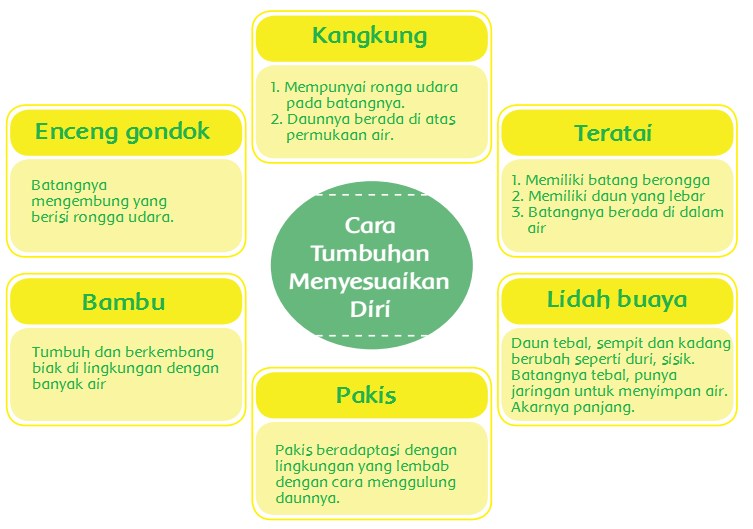 Detail Peta Pikiran Bunga Mawar Nomer 30