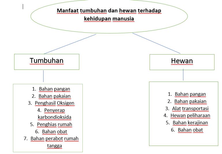 Detail Peta Pikiran Bunga Mawar Nomer 42