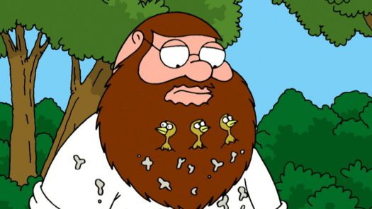 Detail Peter Griffin Beard Bird Nomer 50