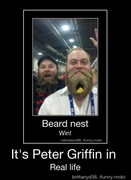 Detail Peter Griffin Beard Nest Nomer 16