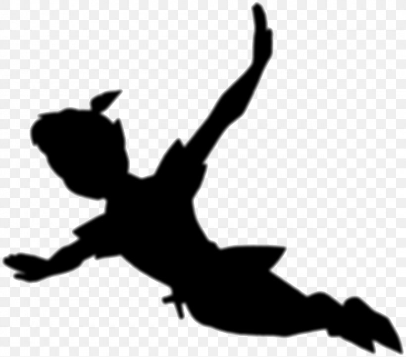 Detail Peter Pan Images Free Nomer 47