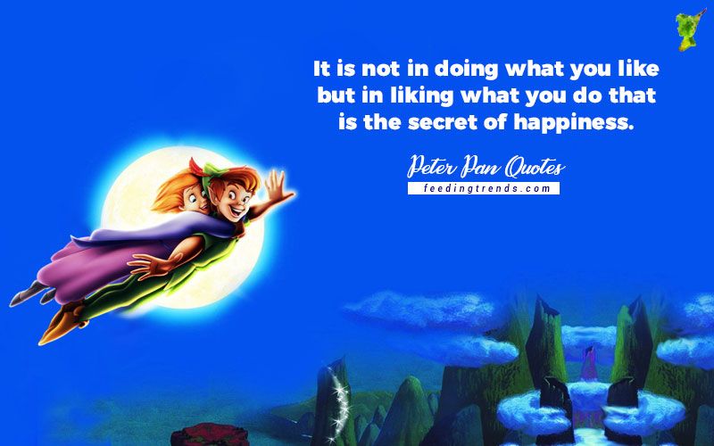 Detail Peter Pan Quotes Nomer 15
