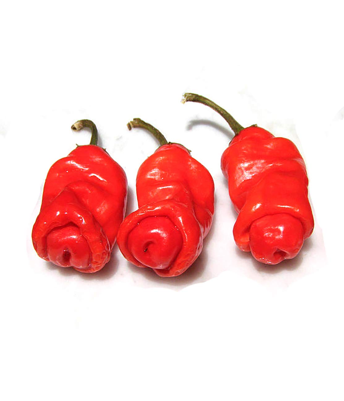 Detail Peter Pepper Seeds Amazon Nomer 23