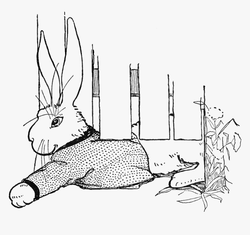 Detail Peter Rabbit Clipart Black And White Nomer 19