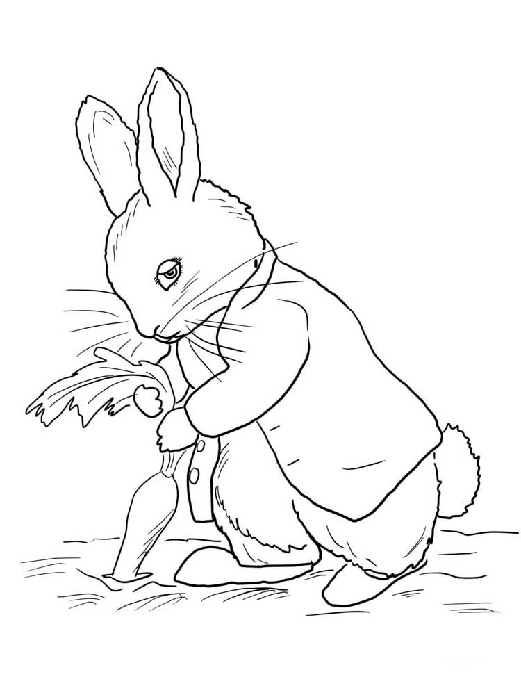 Detail Peter Rabbit Clipart Black And White Nomer 24