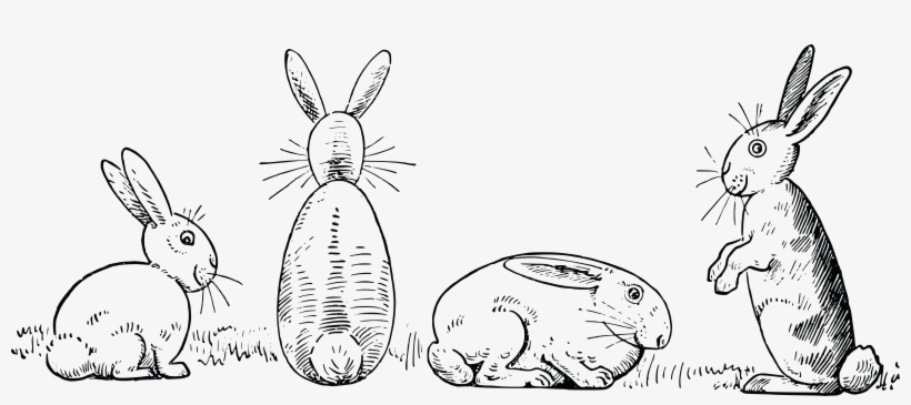 Download Peter Rabbit Clipart Black And White Nomer 39