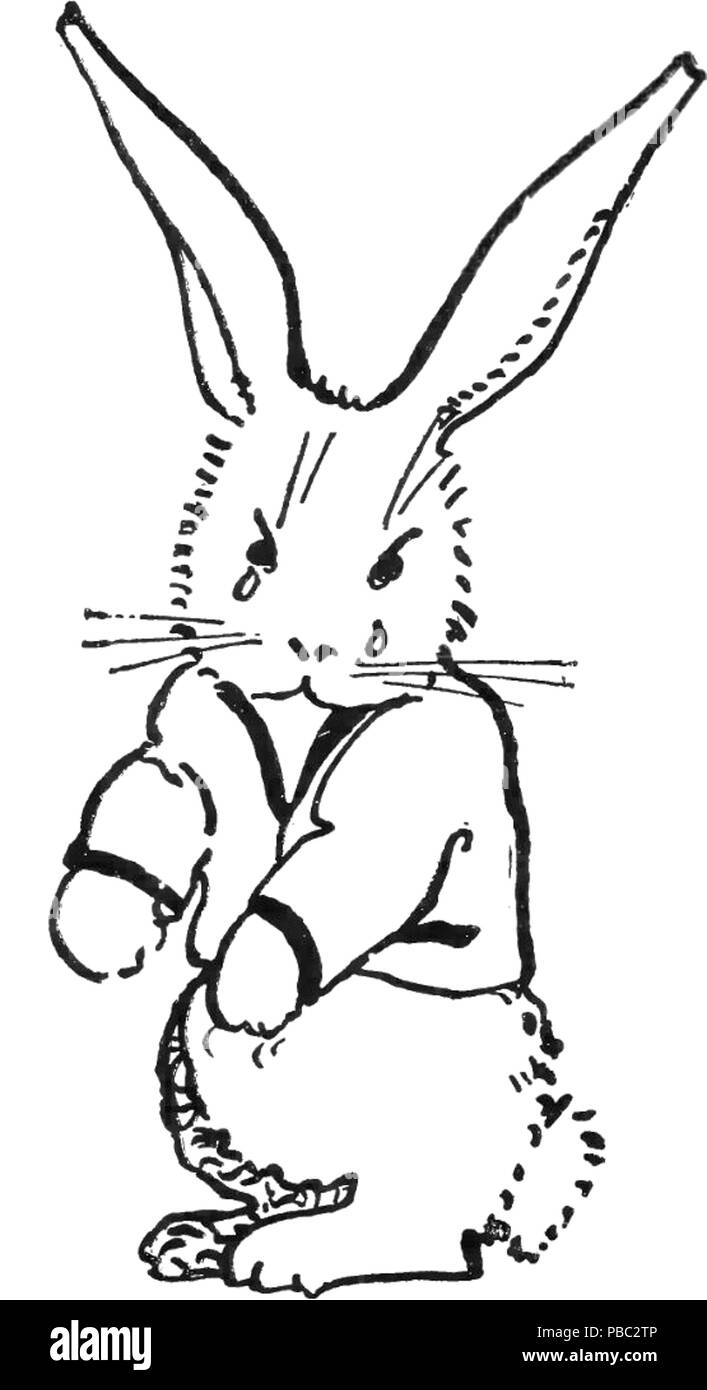 Detail Peter Rabbit Clipart Black And White Nomer 7