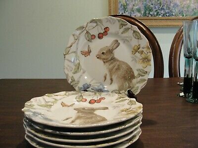 Detail Peter Rabbit Salad Plates Nomer 56