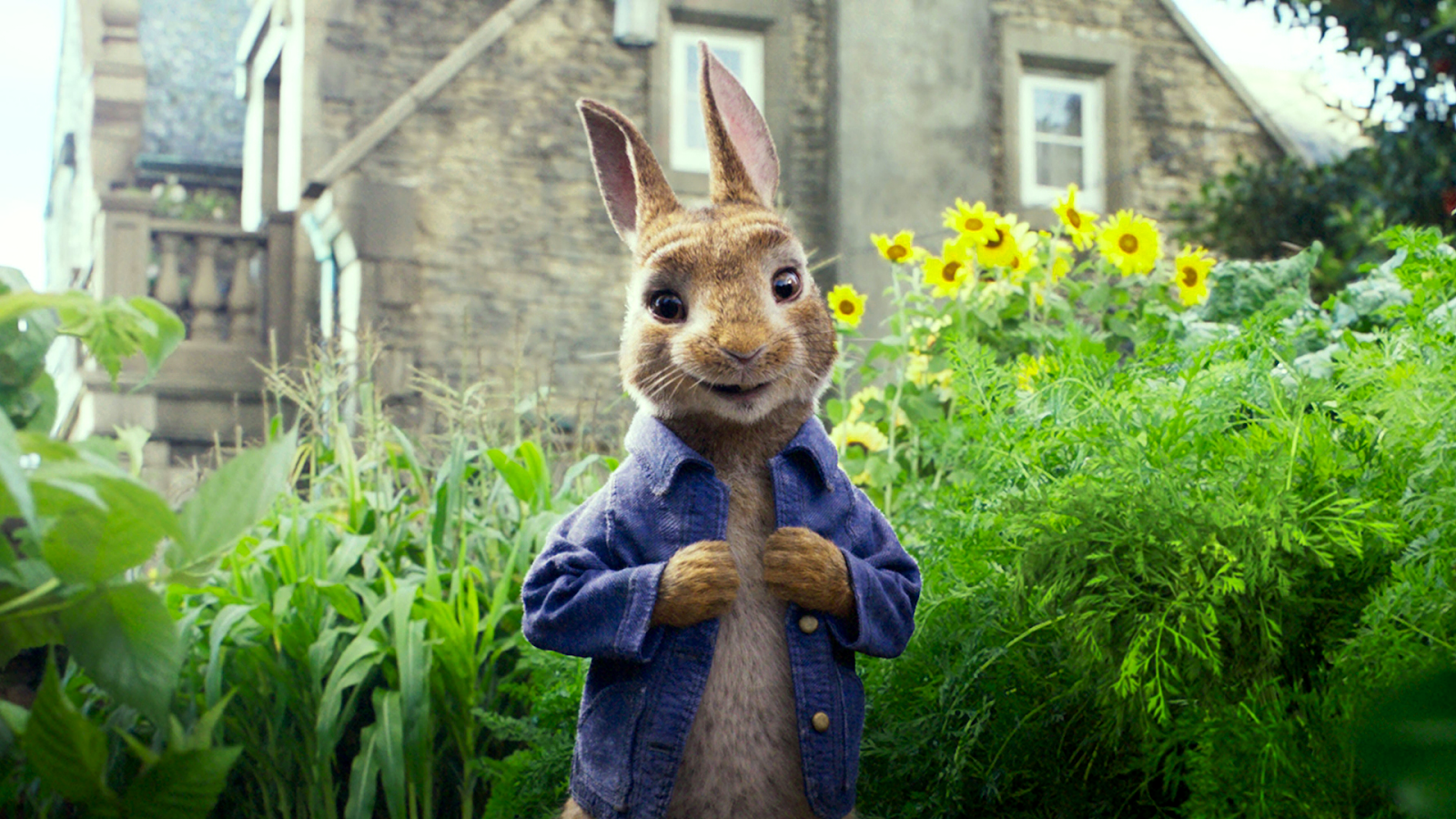 Detail Peter Rabbit Wallpaper Nomer 9