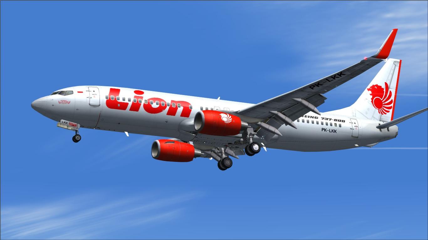 Detail Petisi Lion Air Nomer 24