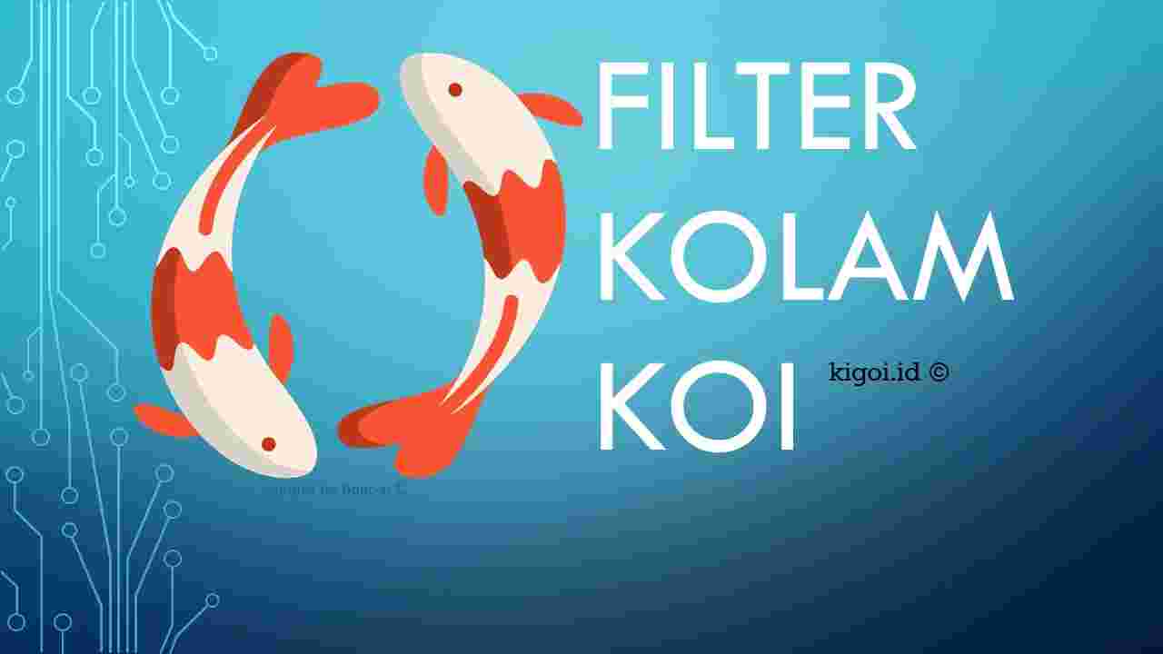 Detail Ph Buffer Kolam Koi Nomer 42