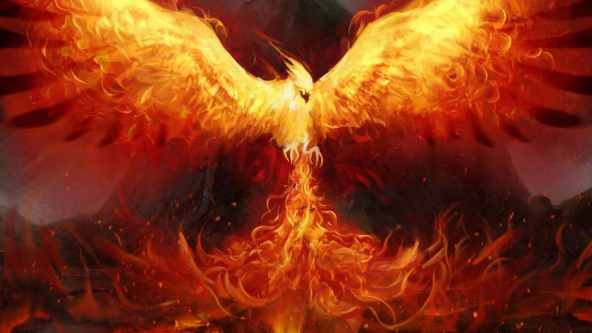 Download Phoenix Wallpaper Hd Nomer 11