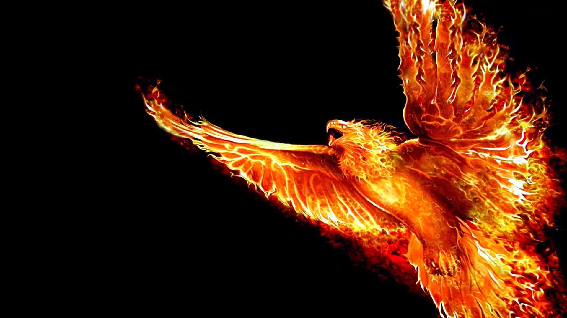 Detail Phoenix Wallpaper Hd Nomer 26