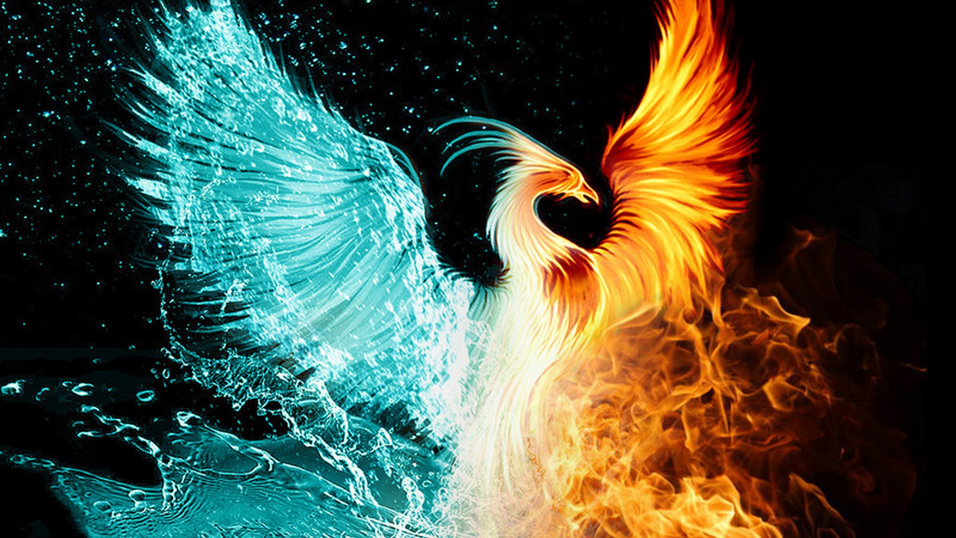 Detail Phoenix Wallpaper Hd Nomer 4