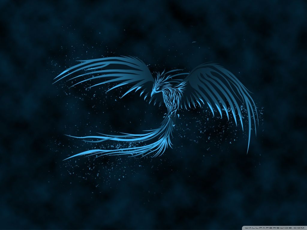 Detail Phoenix Wallpaper Hd Nomer 30