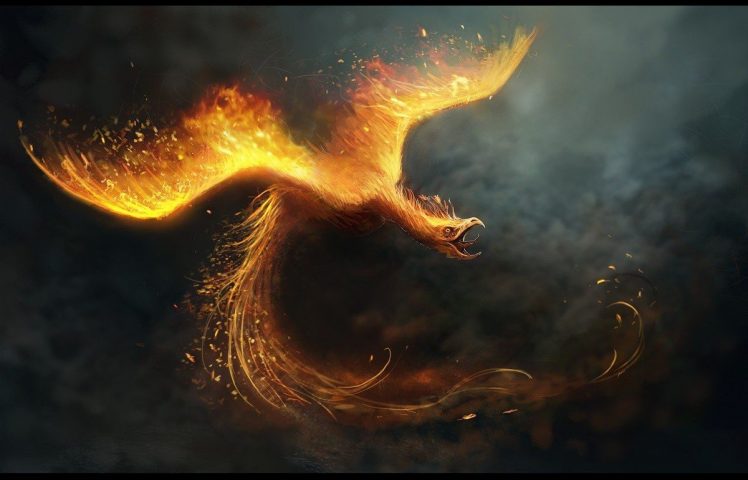 Detail Phoenix Wallpaper Hd Nomer 41