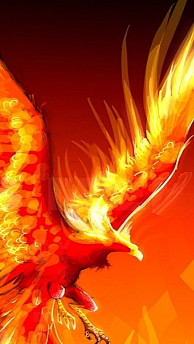 Detail Phoenix Wallpaper Hd Nomer 57