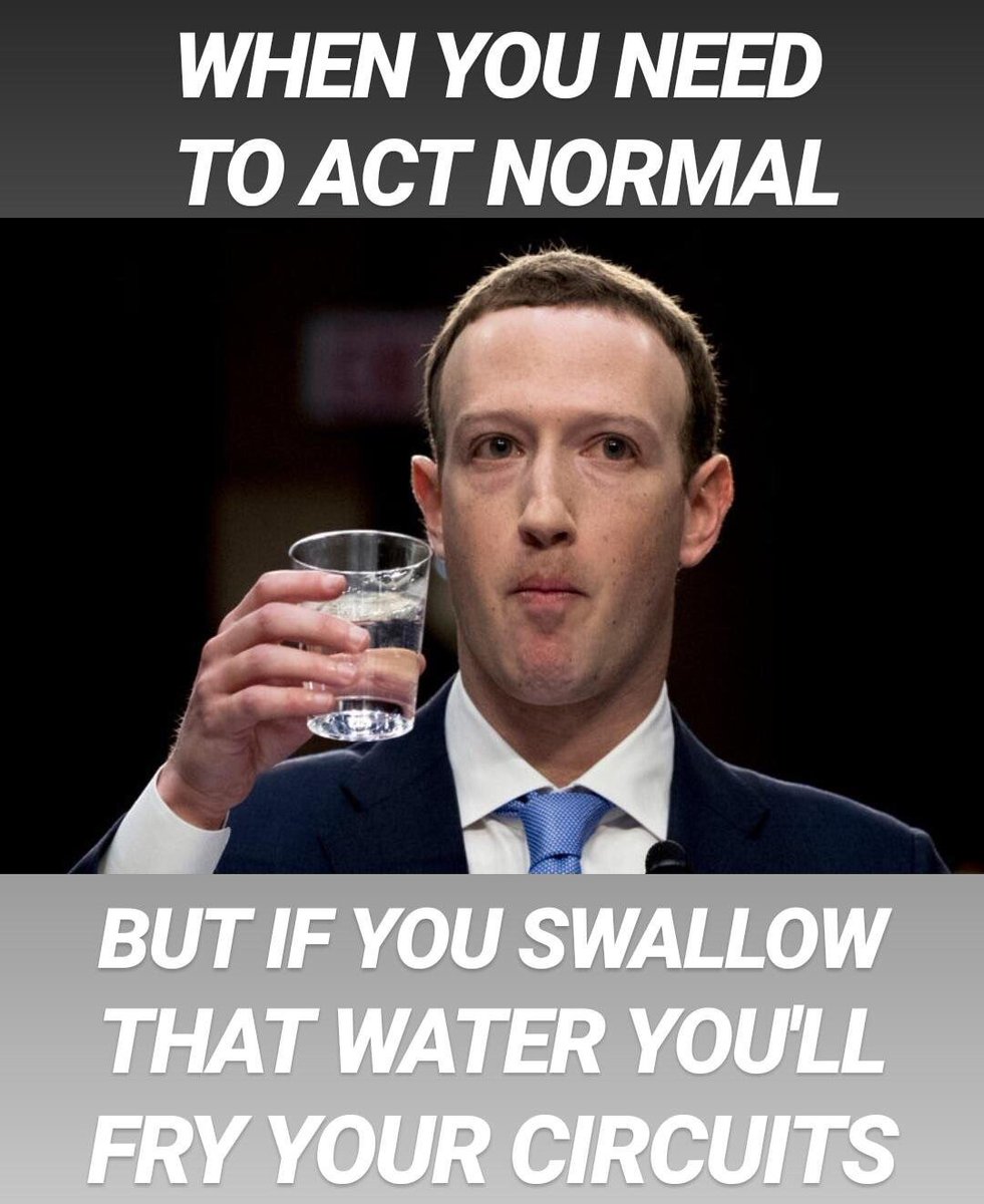 Detail Mark Zuckerberg Drinking Water Memes Nomer 21