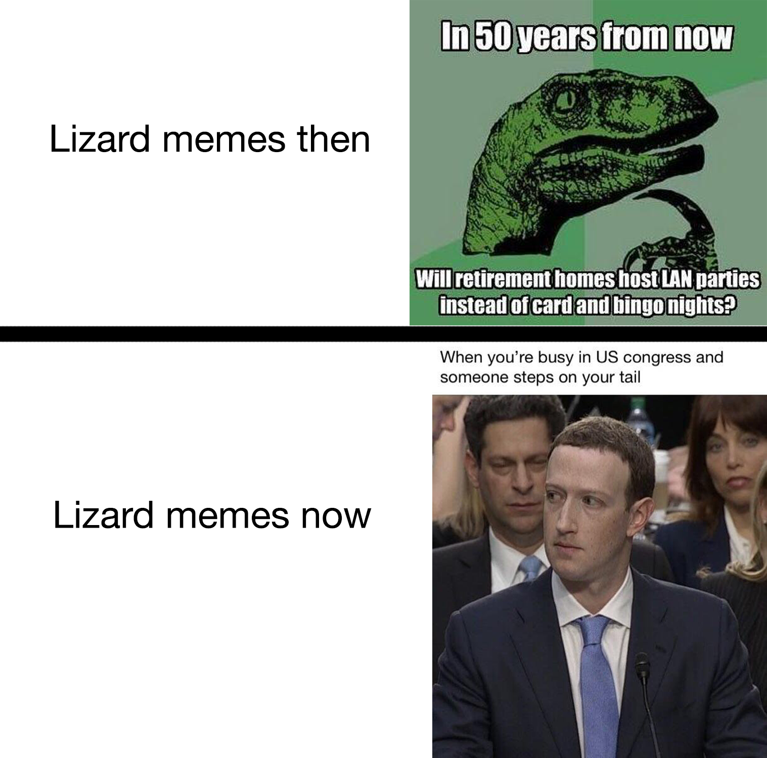 Mark Zuckerberg Lizard Meme - KibrisPDR