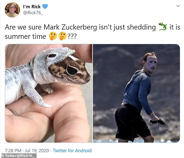 Detail Mark Zuckerberg Lizard Meme Nomer 2