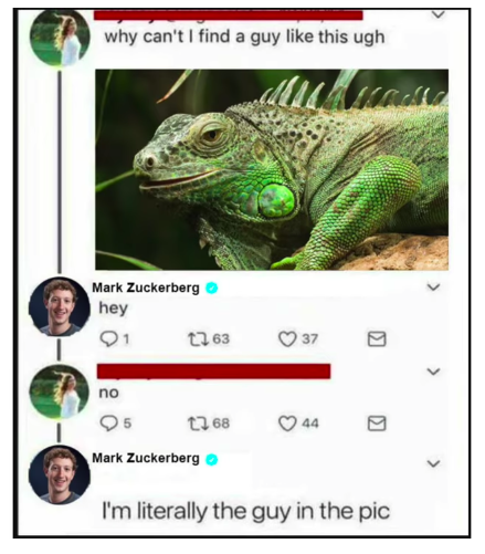 Detail Mark Zuckerberg Lizard Meme Nomer 11